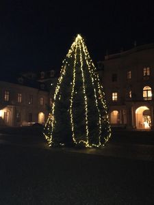 Residenzschloss Ludwigsburg, Aussen Weihnachtsbaum; Foto: Staatliche Schlösser und Gärten Baden-Württemberg, Schlossverwaltung