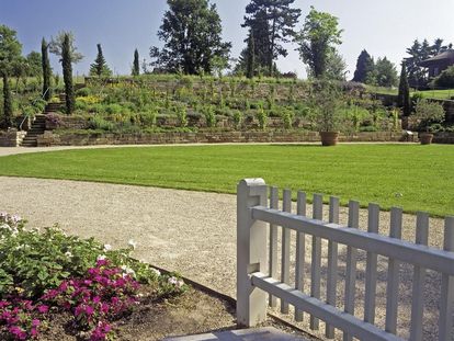 Vineyard in the upper palace garden at Ludwigsburg Residential Palace